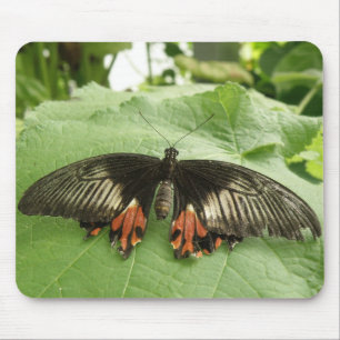 Tapis De Souris Joli Papillon noir rouge et or Mousepad