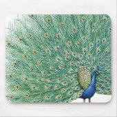 Tapis De Souris Joli Peacock (Devant)