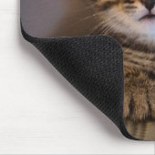 Tapis De Souris Joli petit chat (Coin)