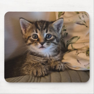 Tapis De Souris Joli petit chat