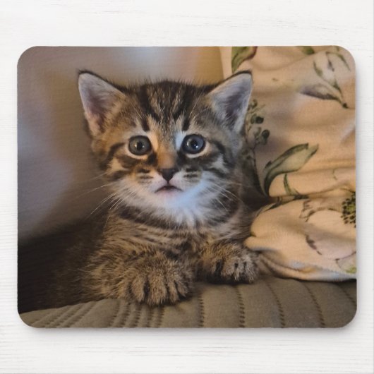 Tapis De Souris Joli petit chat (Devant)