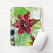 Tapis De Souris Joli Plante (Avec souris)