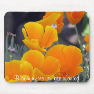 Tapis De Souris Joli Poppies de Californie avec citation