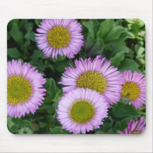 Tapis De Souris Jolie Lavender Erigeron Flowers