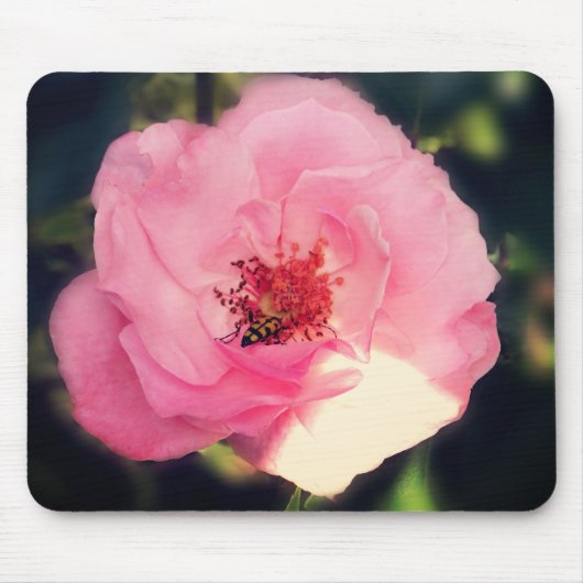 Tapis De Souris Jolie photo Rose de fleurs Mousepad (Devant)