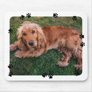 Tapis De Souris Jolies empreintes de pattes Photo d'animal de comp