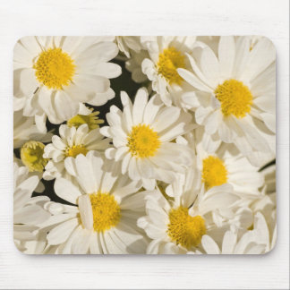 Tapis De Souris Jolies marguerites