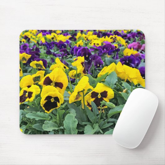 Tapis De Souris Jolies Pansies dans une serre (Avec souris)