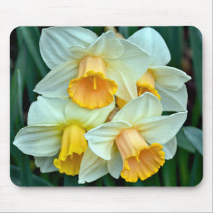 Tapis De Souris Jonquilles jaunes de printemps