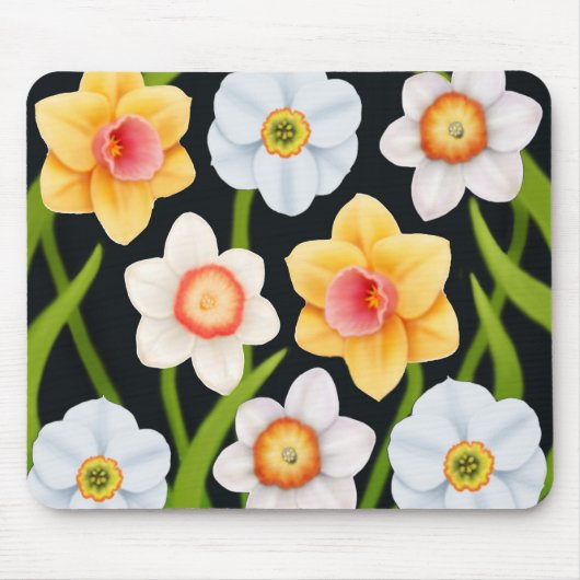 Tapis De Souris Jonquilles Mousepad de ressort (Devant)