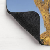 Tapis De Souris Joshua Tree, Yucca brevifolia) et granit (Coin)