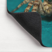 Tapis De Souris Jote Jumping Spider Photo (Coin)