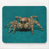 Tapis De Souris Jote Jumping Spider Photo (Devant)