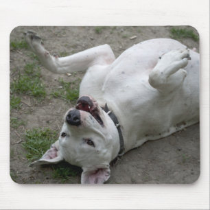 Tapis De Souris Jouer Dogo Argentino