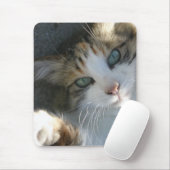 Tapis De Souris Joueur Kitty (Avec souris)