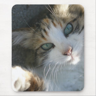 Tapis De Souris Joueur Kitty