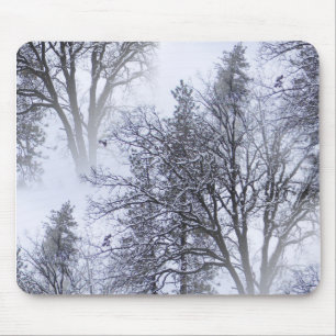 Tapis De Souris Jour de neige dans les arbres...