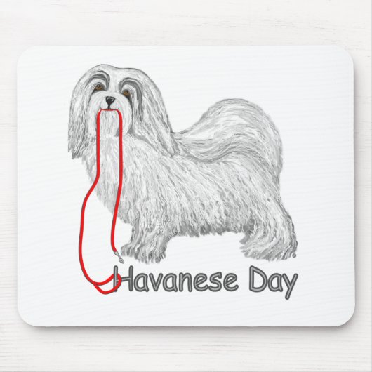 Tapis De Souris Jour du Havan (Devant)