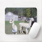 Tapis De Souris Jours d'alpaga (Avec souris)