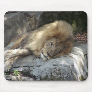 Tapis De Souris Jours paresseux