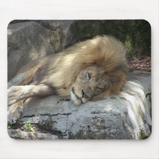 Tapis De Souris Jours paresseux (Devant)