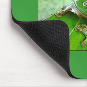 Tapis De Souris Joyaux de la jungle (Coin)
