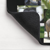 Tapis De Souris Joyaux de la jungle Mousepad (Coin)