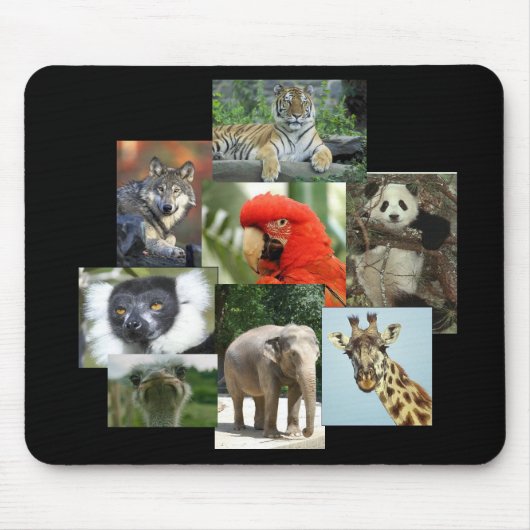 Tapis De Souris Joyaux de la jungle Mousepad (Devant)