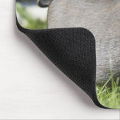 Tapis De Souris Joyeux animal de compagnie Mini Pot Bely Pig (Coin)