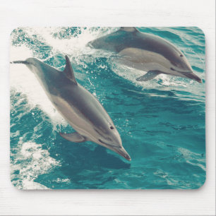 Tapis De Souris Joyeux dauphins