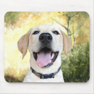 Tapis De Souris Joyeux Laboratoire Jaune