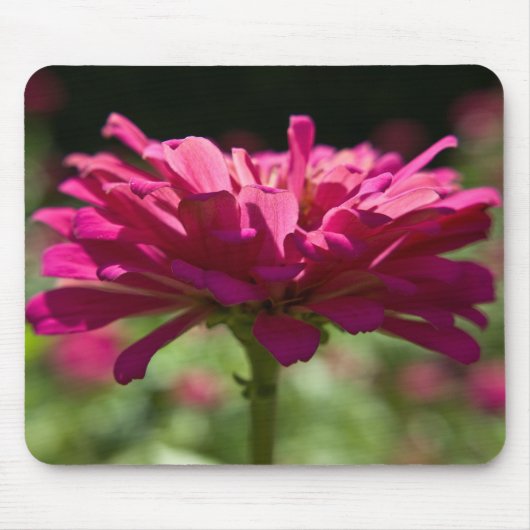 Tapis De Souris Joyeux Zinnia (Devant)