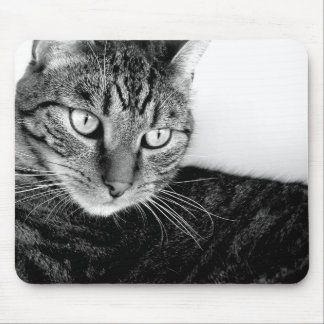 Tapis De Souris Jude