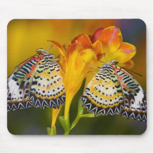 Tapis De Souris Jumeaux de papillons tropicaux