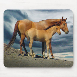 Tapis De Souris Jument espagnole de mustang