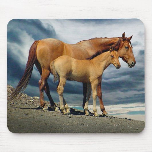 Tapis De Souris Jument espagnole de mustang (Devant)