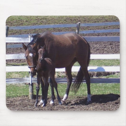 Tapis De Souris Jument et colt (Devant)