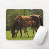 Tapis De Souris Jument et poulain 2 de pur sang (Avec souris)