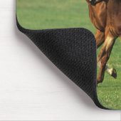 Tapis De Souris Jument et poulain 3 de pur sang (Coin)