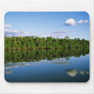 Tapis De Souris Juruena, Brésil. Rive boisée de la rivière reflété