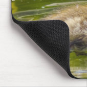 Tapis De Souris Juste Ducky Mousepad (Coin)