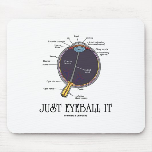 Tapis De Souris Juste Eyeball It (Eye Anatomy Approximation Dit) (Devant)