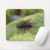 Tapis De Souris Juste une image folle (Avec souris)