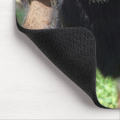 Tapis De Souris Kalvin (Coin)