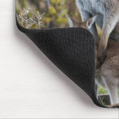 Tapis De Souris Kangaroo et Joey (Coin)