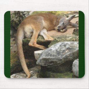 Tapis De Souris Kangourou somnolent