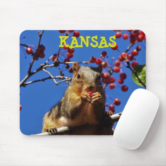 Tapis De Souris Kansas Fox Tail Squirrel Mouse PAD (Avec souris)