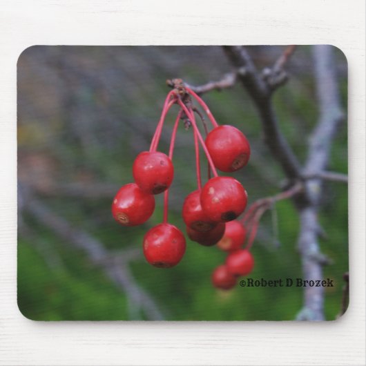 Tapis De Souris Kansas Red Berries abattu closeuse Mouse Pad (Devant)