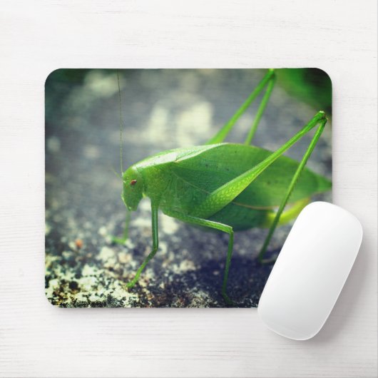 Tapis De Souris Katydid Grasshopper Nature (Avec souris)