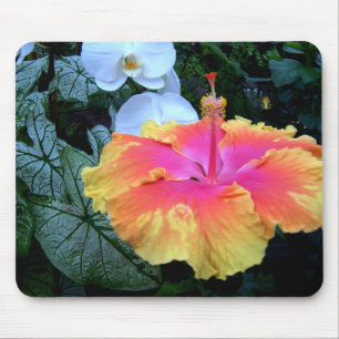 Tapis De Souris ketmie